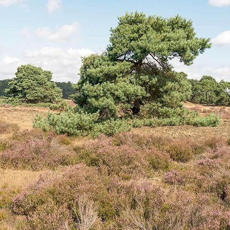 Heerlijke Vakantiewoning Veluwse Bossen Putten Exteriör bild