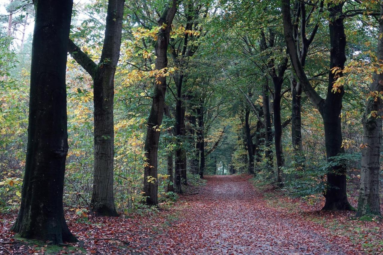 Heerlijke Vakantiewoning Veluwse Bossen Putten Exteriör bild